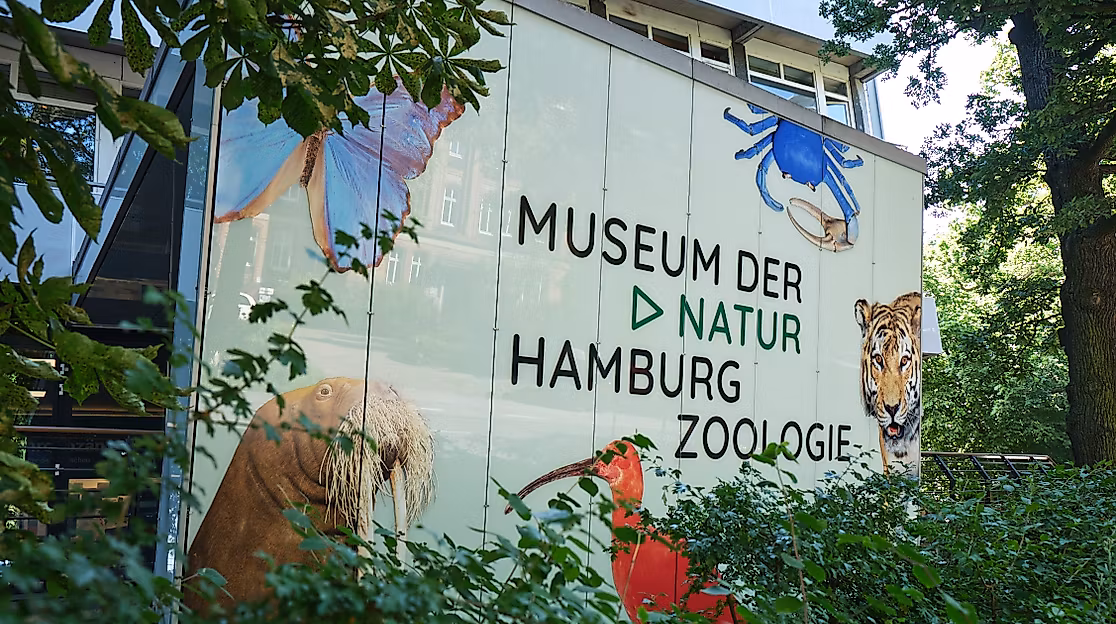 zoologie_-benjamin-pichelmann