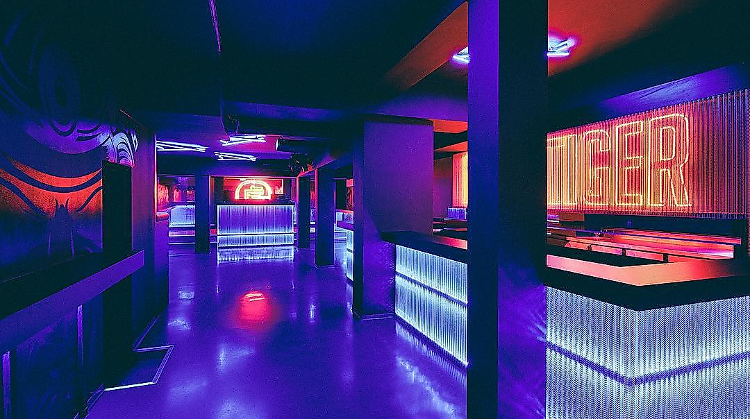 nikki-tiger_c-nikki-tiger-3