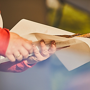 Person hält ein frisch verpackten Fisch auf dem Hamburger Fischmarkt in der Hand