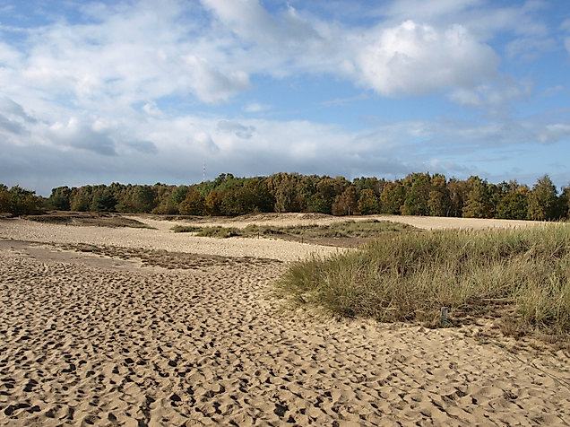 boberger-duenen_c-infohaus-boberg-loki-schmidt-stiftung_04