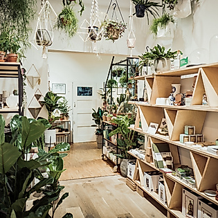 Pflanzen, Wohnaccessoires und Geschenkideen im liebevoll dekorierten Concept Store Winkel van Sinkel Hamburg.