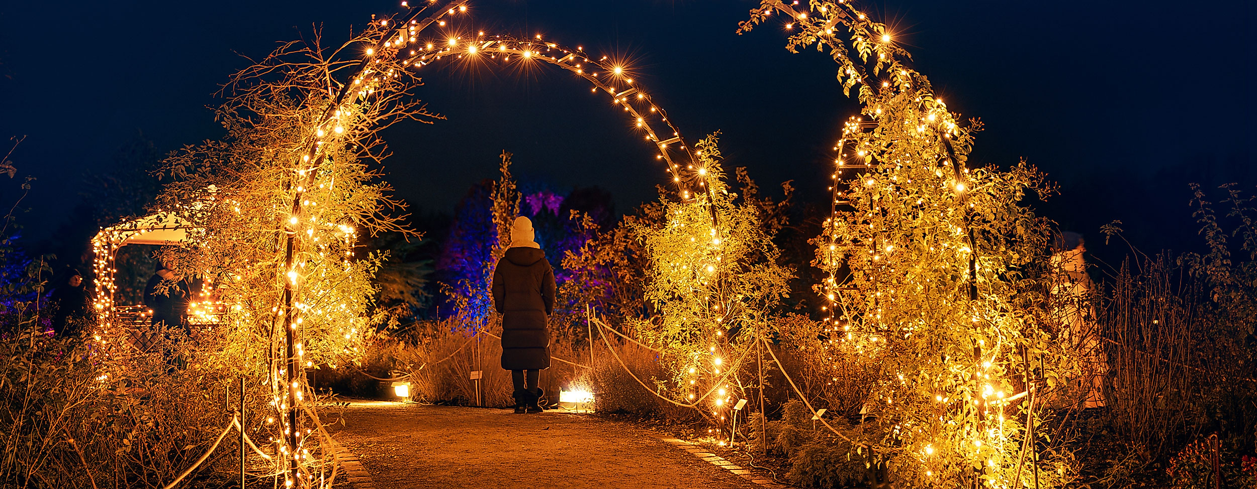 christmas-garden-2024-c-hamburg-views-by-matthias-plander-web-2500x1500