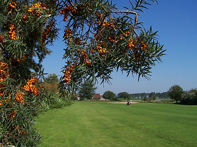 golfclub-buesum-dithmarschen_c-golfclub-buesum-dithmarschen-ev-2