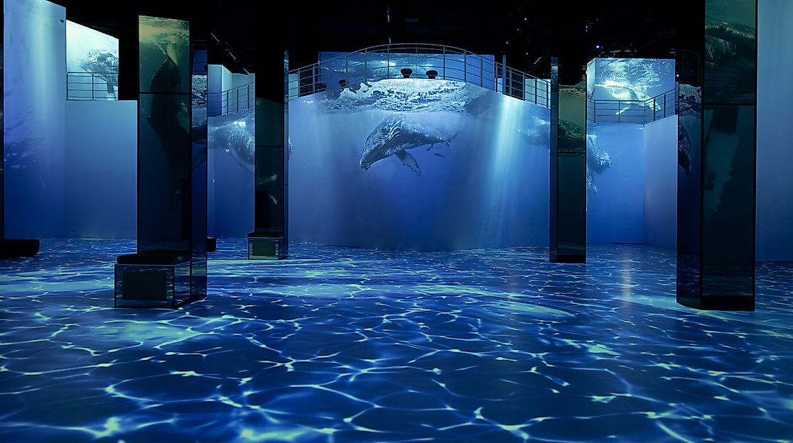 Port-Des-Lumieres-Oceans - Fabijan-Vuksic-7 (4)