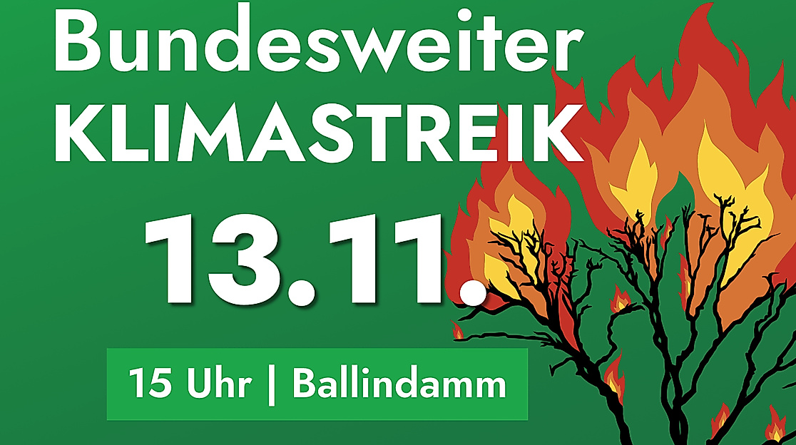 klimastreik-2026-11-13_3zu2_ballindamm