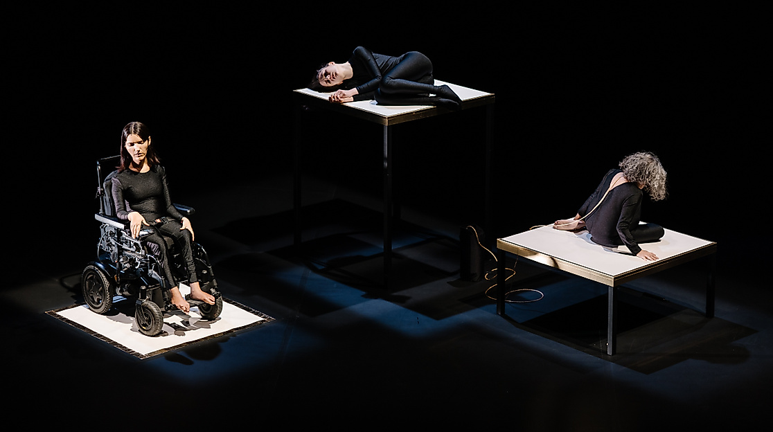 Chiara Bersani _Michel The Animals I Am (c)Diana Tinoco