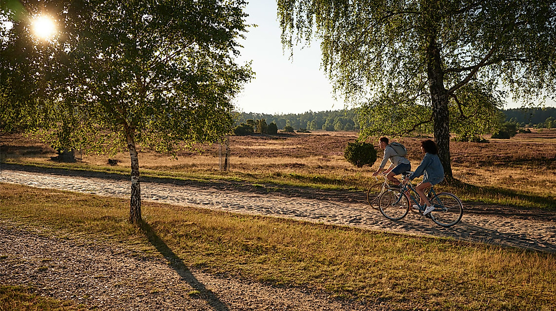 Zwei Radfahrende in der abendlichen Fischbeker Heide bei Hamburg auf sonnigem Weg zwischen Bäumen und Heidefläche