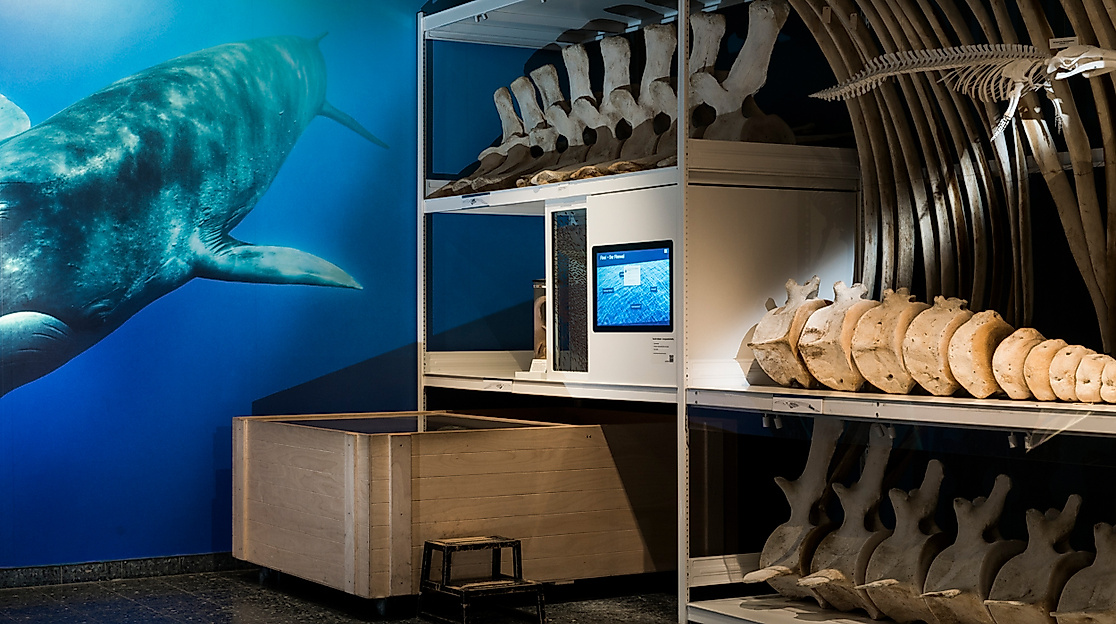 museum-der-natur-paula-markert-4-web-2500x1500