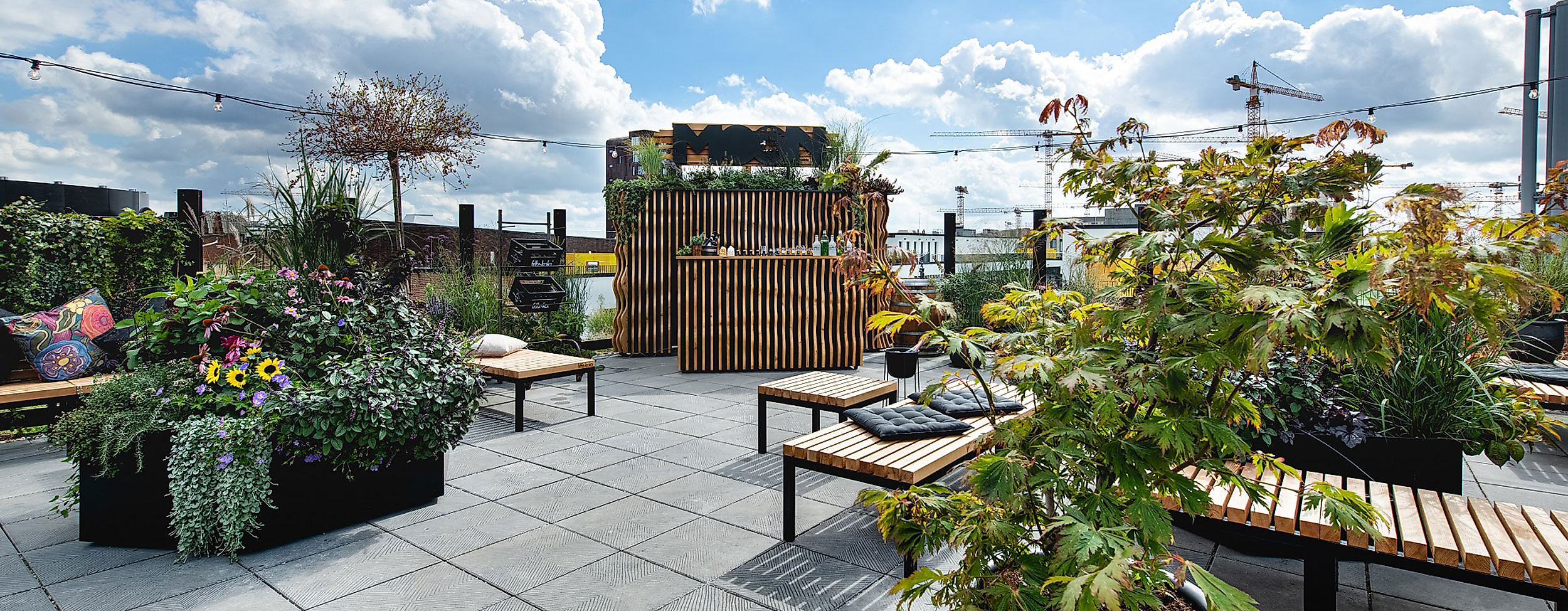 Roof garden Moon46