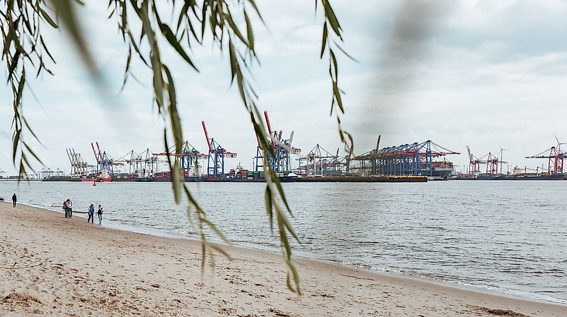 Blick vom Elbstrand auf Containerterminals im Hamburger Hafen, eingerahmt von Weidenzweigen und Sandufer