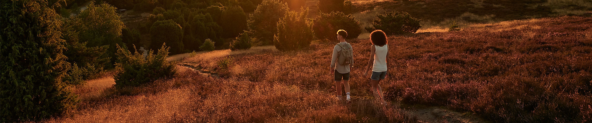 Zwei Personen laufen im warmen Abendlicht durch die herbstlich gefärbte Heidelandschaft der Fischbeker Heide