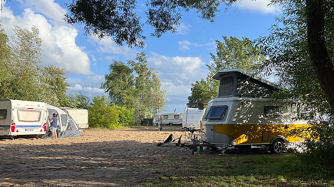 Wohnmobile auf dem Elbcamp Blankenese unter Bäumen mit Blick auf die Elbe bei sonnigem Wetter