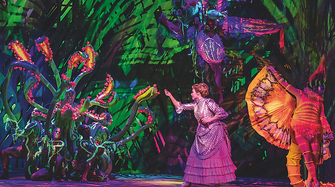 Szenenbild Disneys Musical TARZAN: Jane im Dschungel 