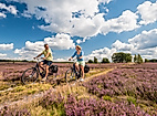 Zwei Radfahrer:innen fahren bei Sonnenschein durch blühende Heide in der Lüneburger Heide.