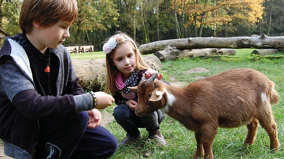 Wildpark Schwarze Berge