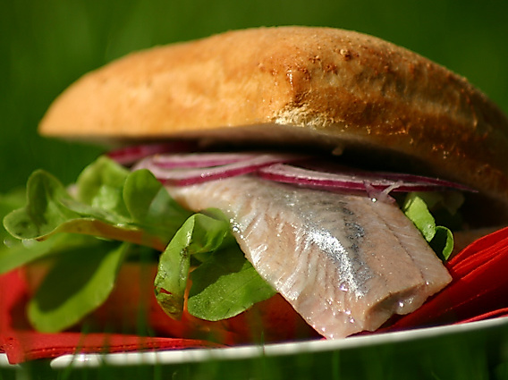 Fisch & Co.