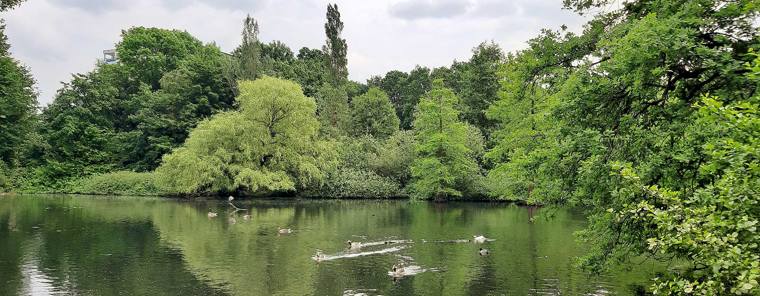 Eichtalpark-teich-c-adobeStock-Clarini