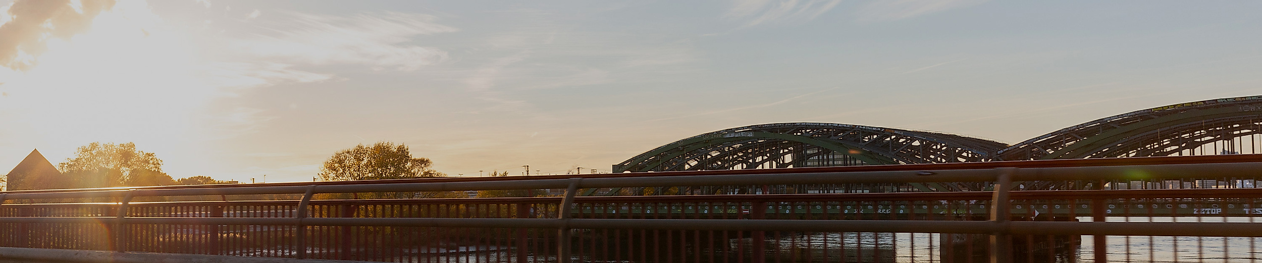 Elbbrücken zwischen Wilhelmsburg und Veddel in Hamburg im Sonnenlicht mit Gleisen und Wasser im Vordergrund