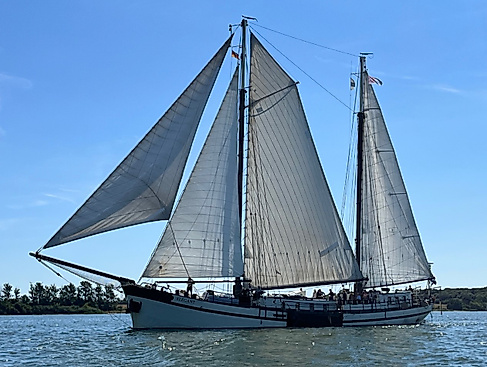 Segelschiff ELEGANT