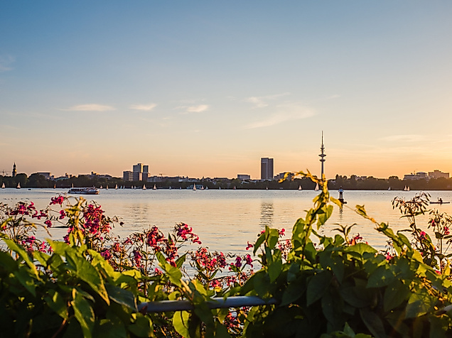 Blühende Pflanzen im Alsterpark mit Blick auf die Außenalster und die Skyline bei Sonnenuntergang