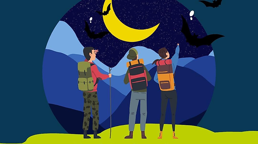 Batweek_Night Hike