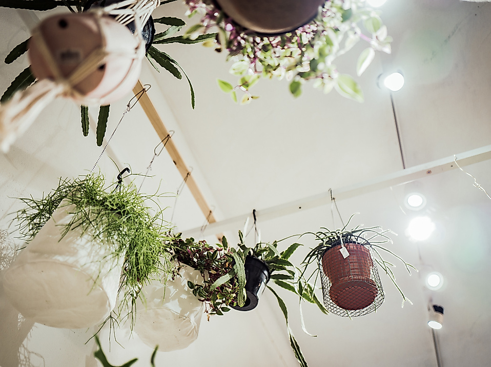 Hängende Zimmerpflanzen an der Decke im Concept Store Winkel van Sinkel in Hamburg stilvoll arrangiert