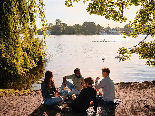 Picknick an der Alster in Hamburg