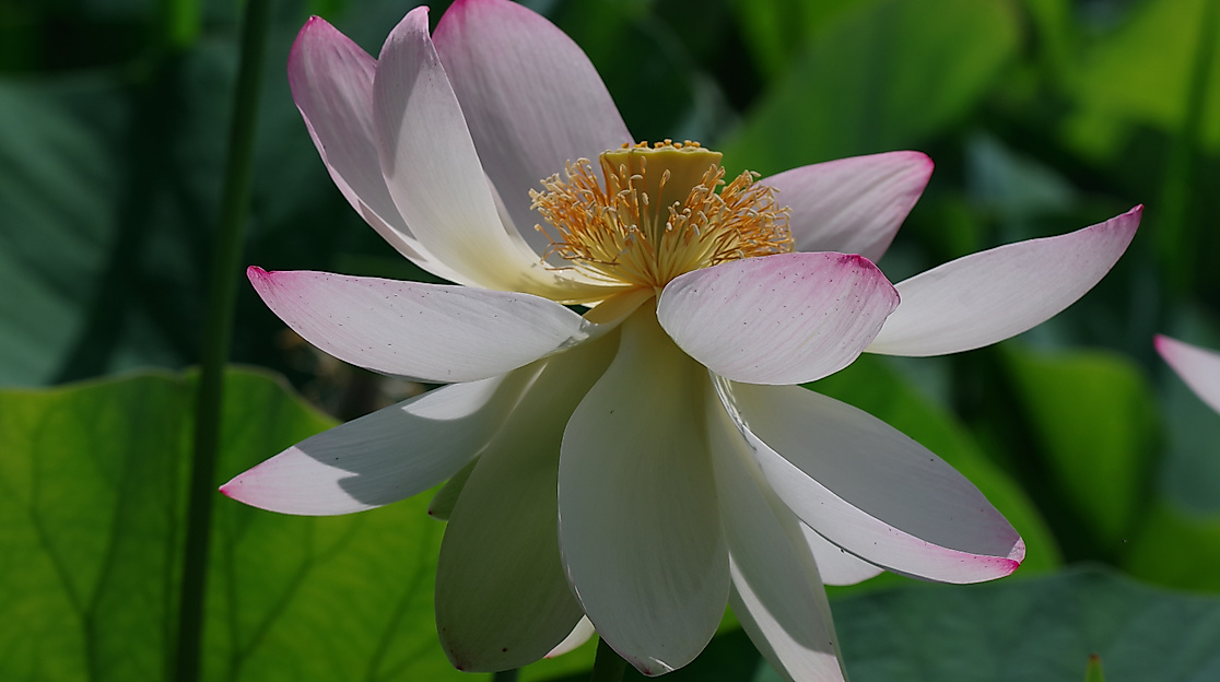 IMGP0293