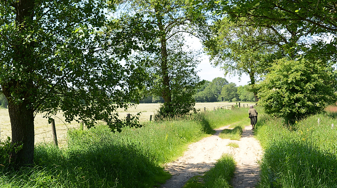 NSG Stapelfelder Moor