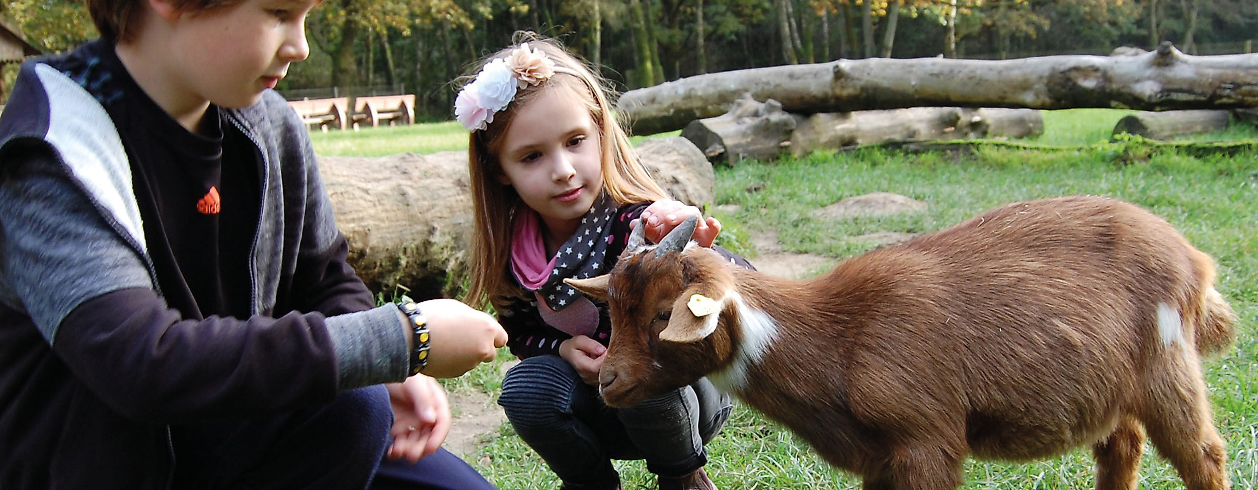 Wildpark Schwarze Berge