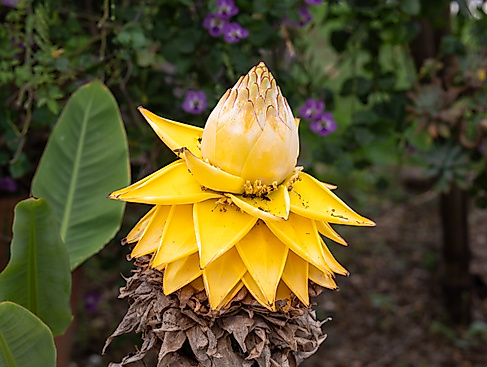 IMGP9778