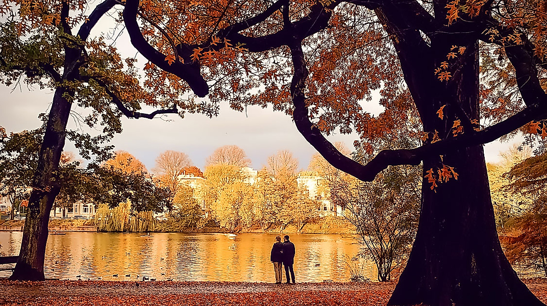 Zwei Personen am herbstlich gefärbten Alsterufer, umgeben von Laubbäumen und buntem Blätterteppich