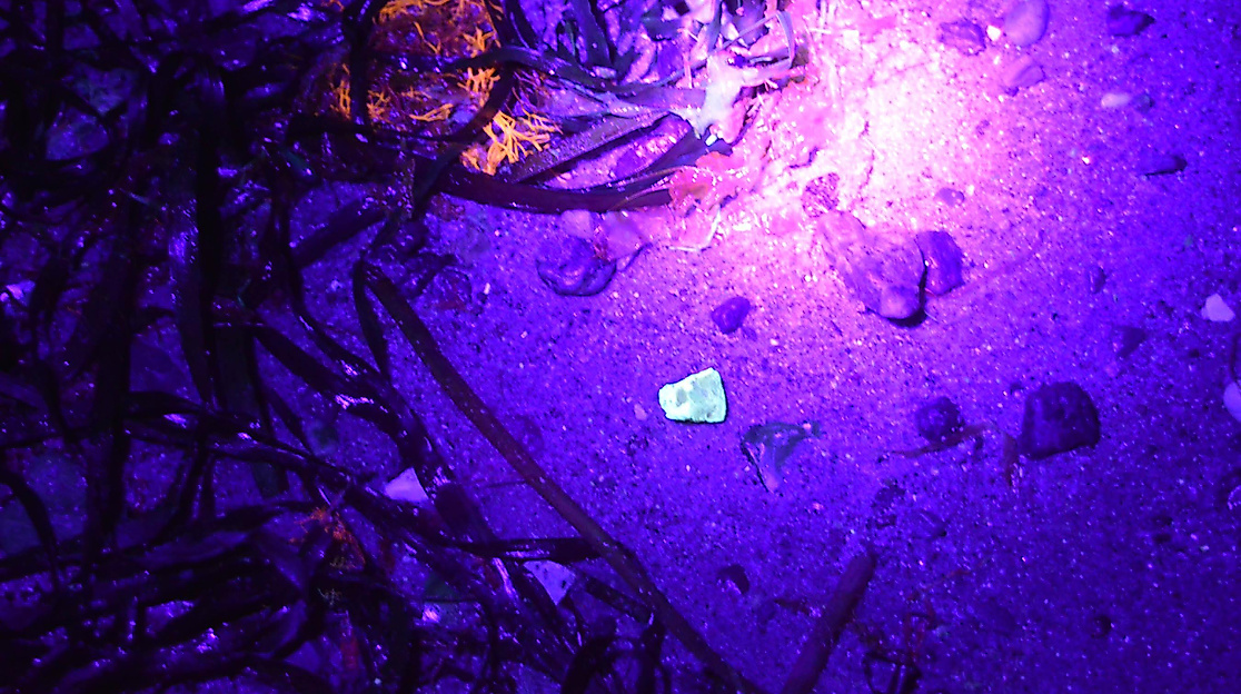 The beach glows