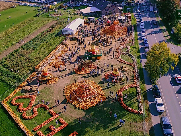 Vogelperspektive-Kürbispyramiden-und-Hof-C-Hof-Bartels