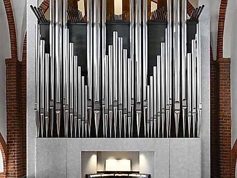Organ