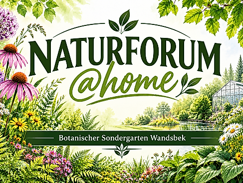 Naturforum @home im Botanischen Garten