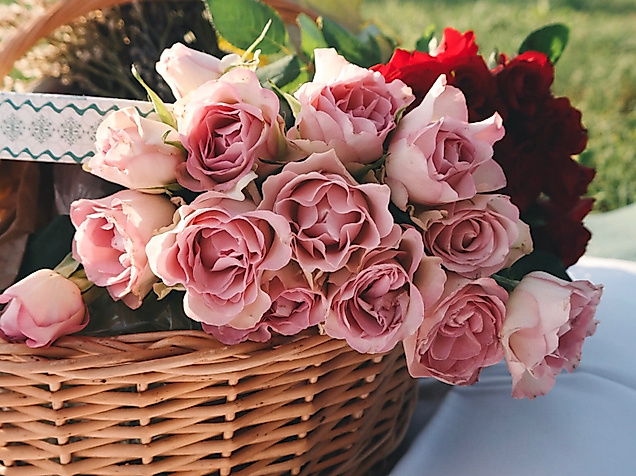 romantische-rosen_c-unsplash-brigitte-tohm