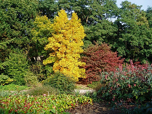 gw-herbst-im-garten_data