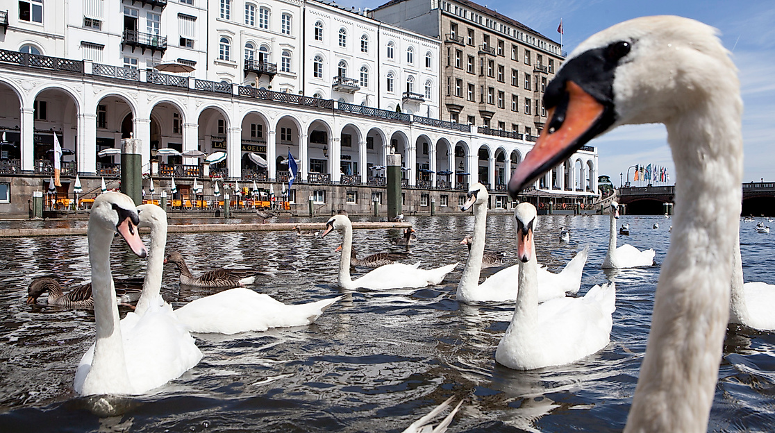 Alster boat trip