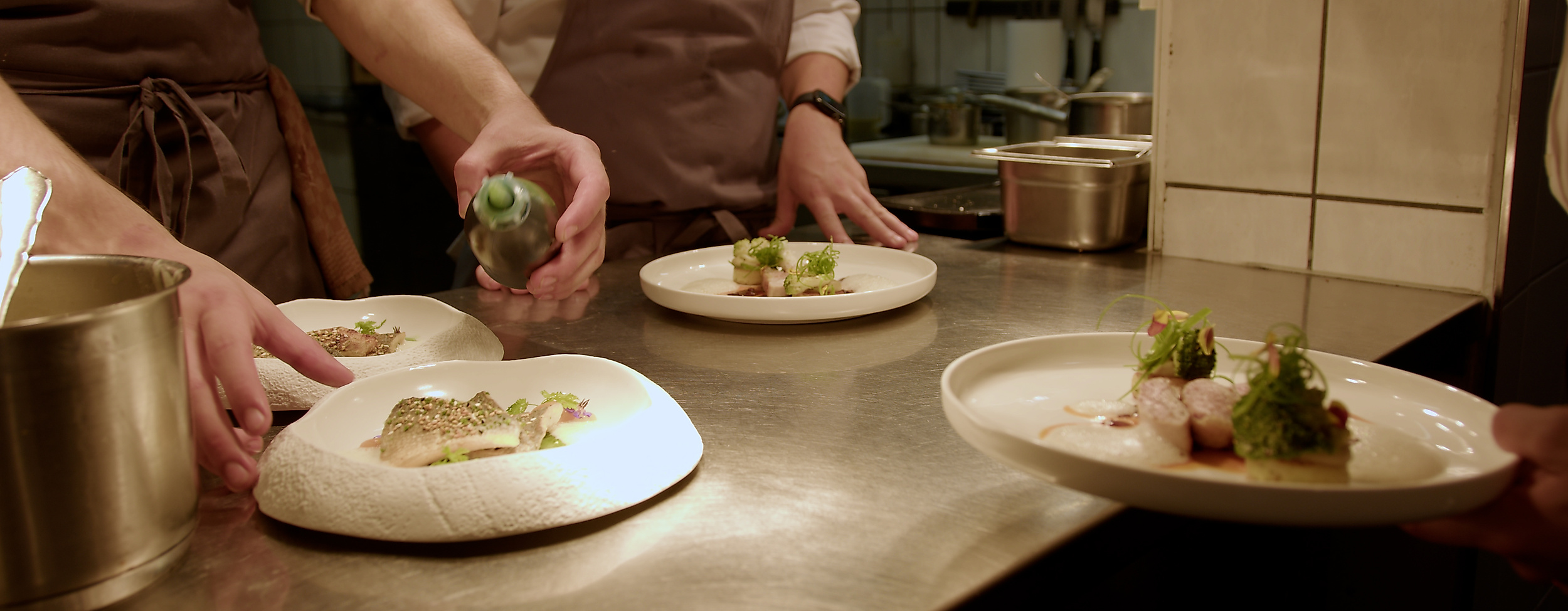 Restaurant Jellyfish