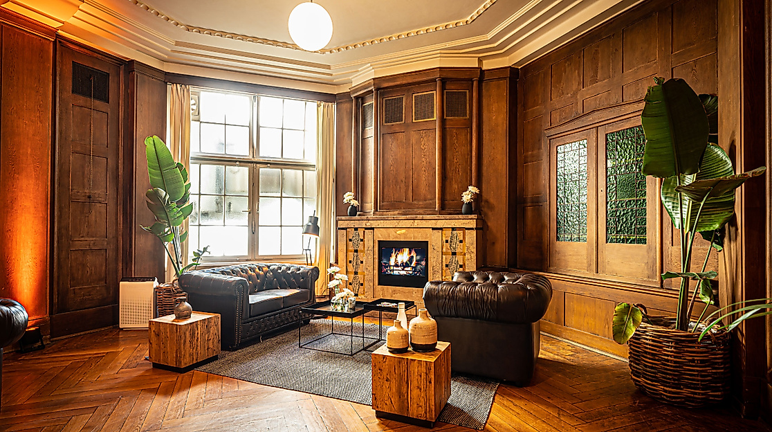 curio-haus-web-2-2500x1500