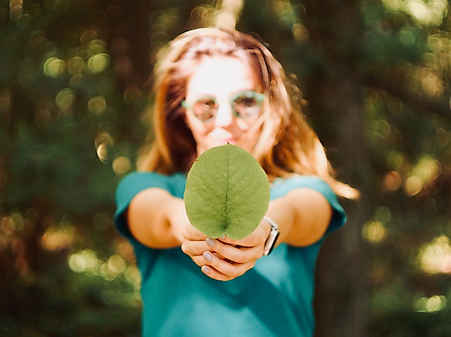 gruenes-hh_c-unsplash-mert-guller