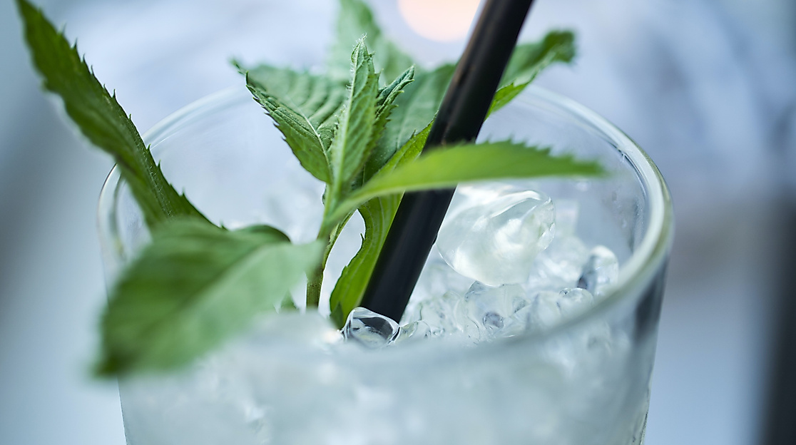 caipirinha_c-unsplash-marc-schulte