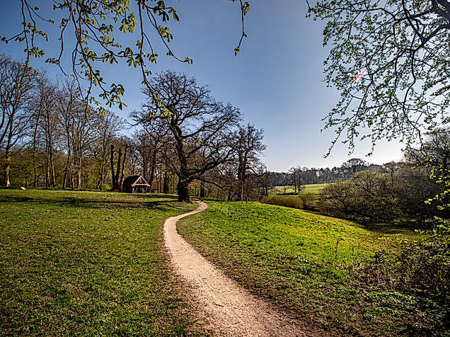 Jenisch Park Frühling