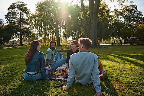 Nachhaltige Ausflugsziele im Hamburg
