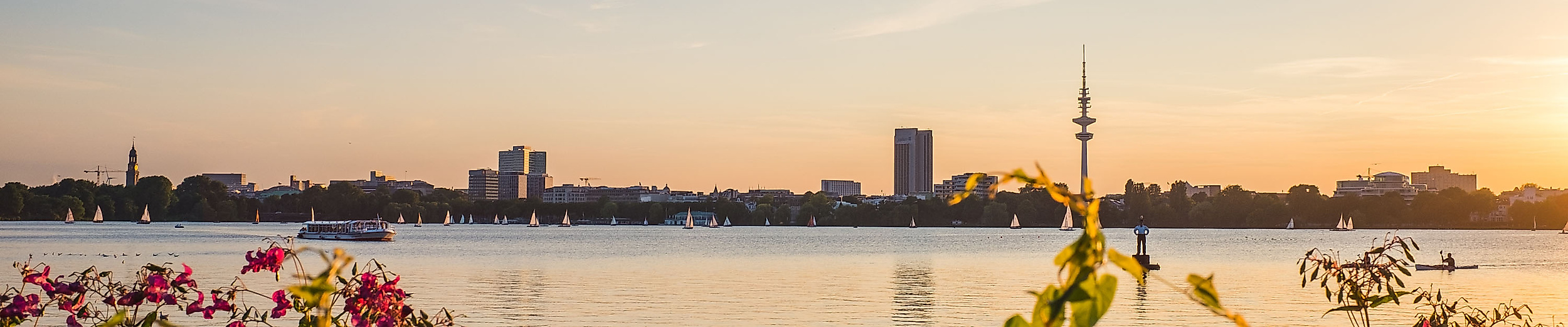Blühende Pflanzen im Alsterpark mit Blick auf die Außenalster und die Skyline bei Sonnenuntergang