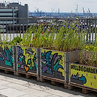 Guided tour Bunker St. Pauli