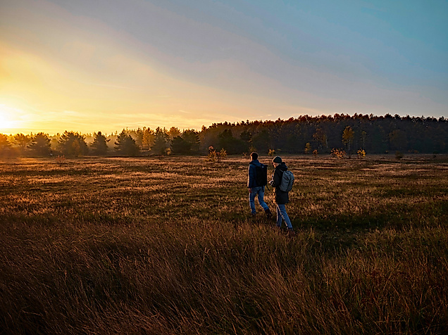 Wanderndes Paar im Naturschutzgebiet in Hamburg bei Abendstimmung