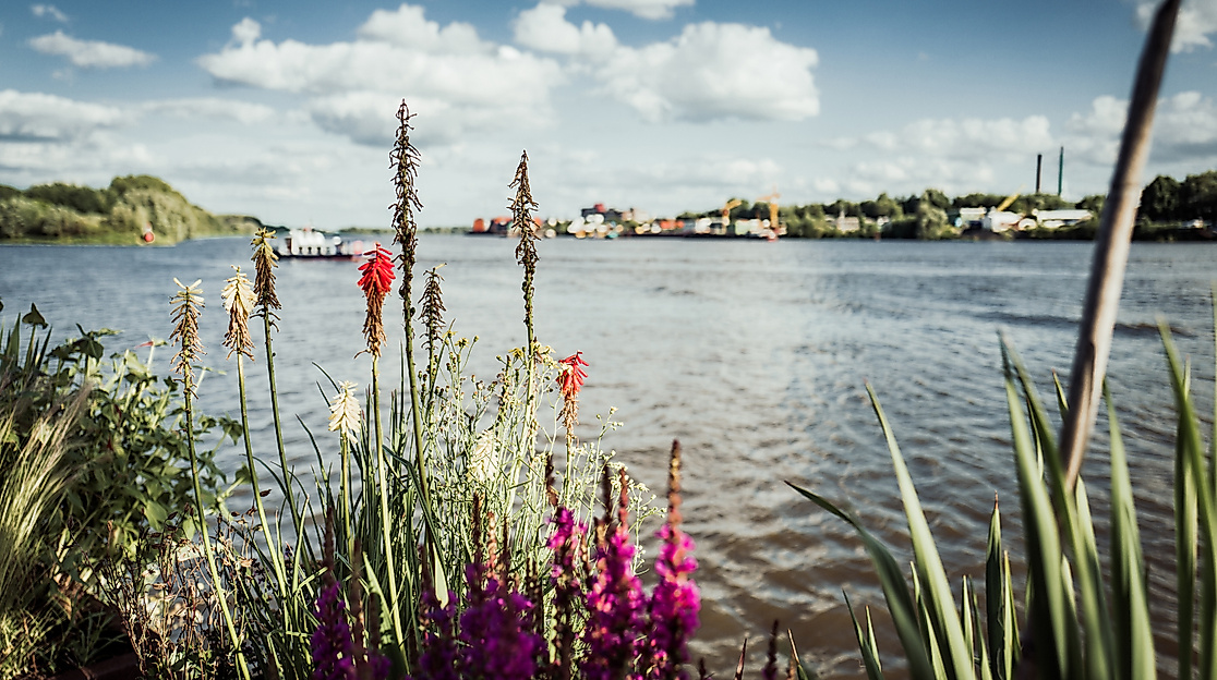 entenwerder_hhlal_c-2017-geheimtipp-hamburg-12