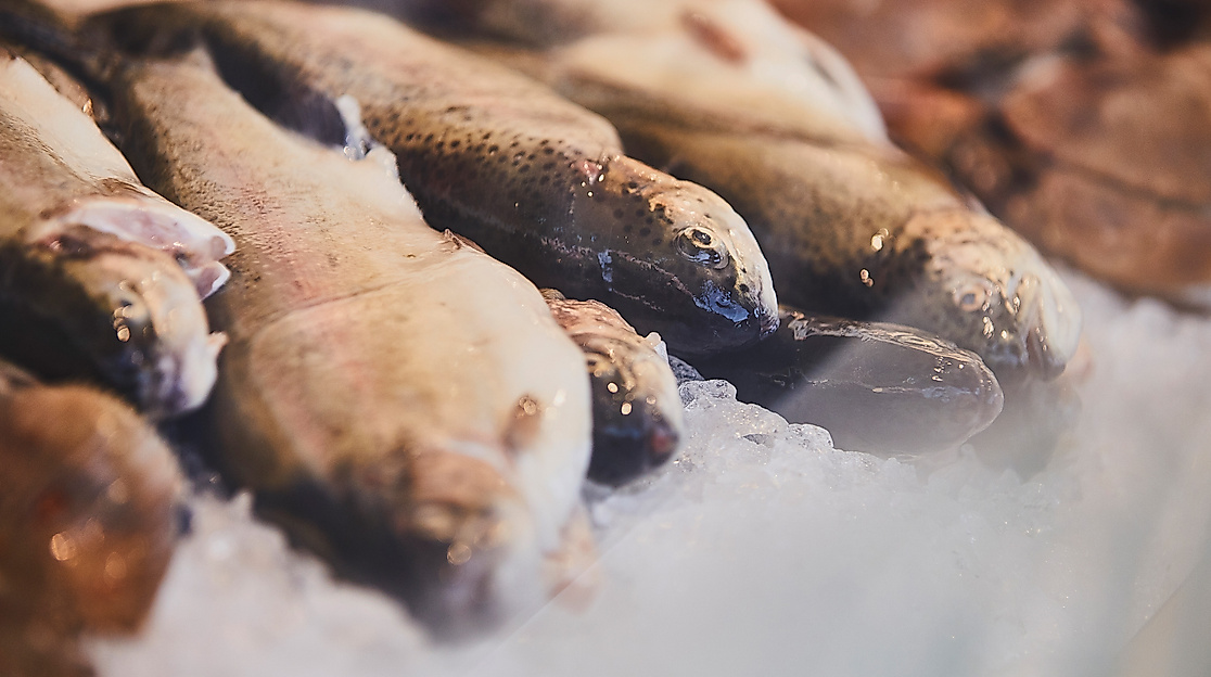fischmarkt_sonntagmorgen-details_c-2018-thisisjulia-photography-11